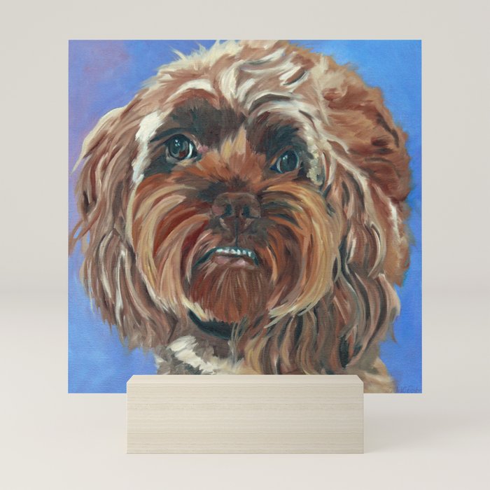 shih tzu dog mini