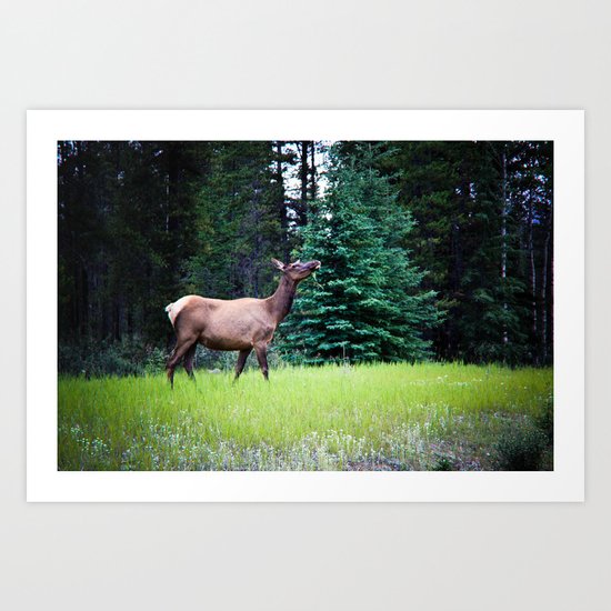 Dramatic Pose Art Print