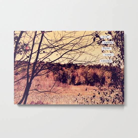 Wide Open Spaces II Metal Print