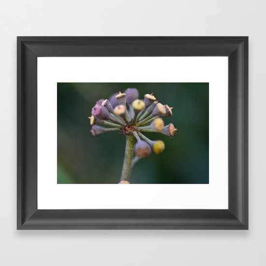 Wild Ivy Framed Art Print