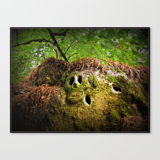 Skull Canvas Print
