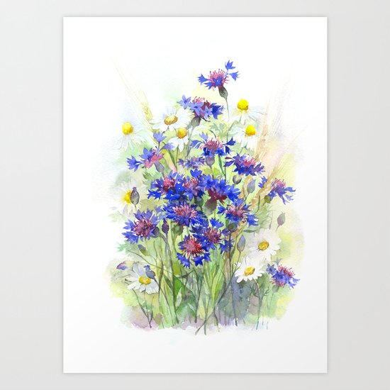 Meadow watercolor flowers with cornflowers Art Print