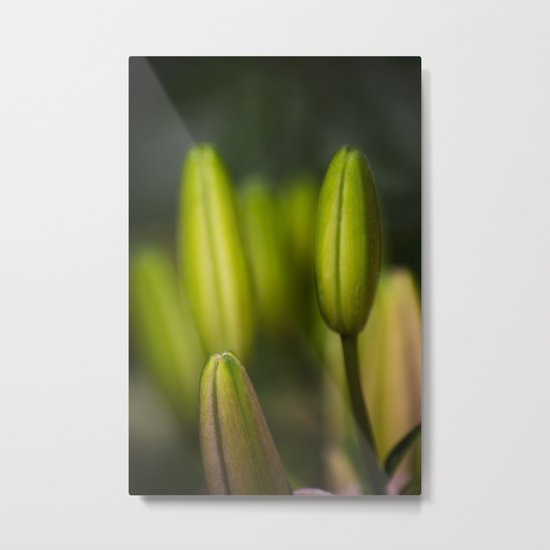 the healing Metal Print