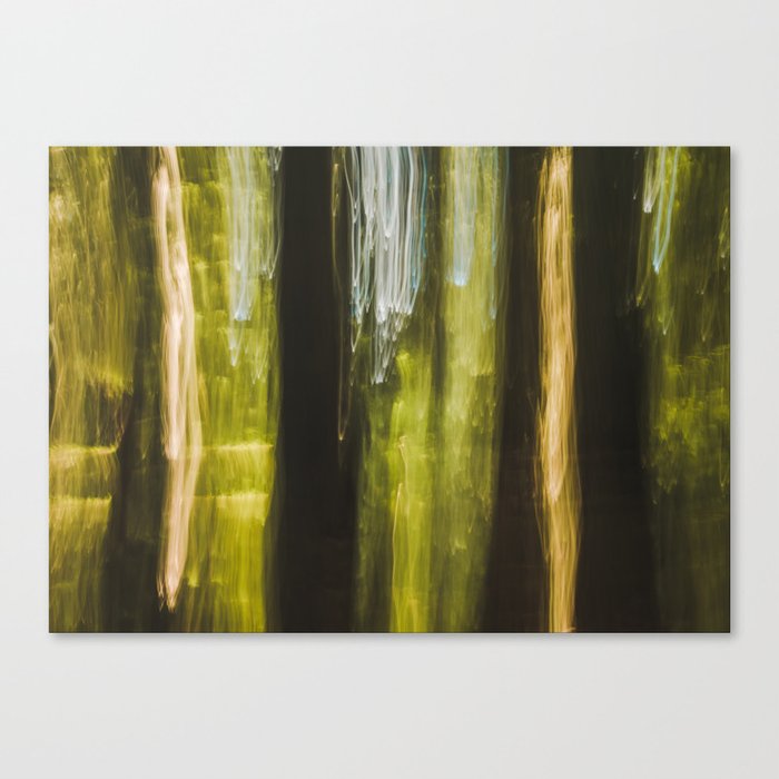 Nature Abstraction - Cedar Forest Canvas Print
