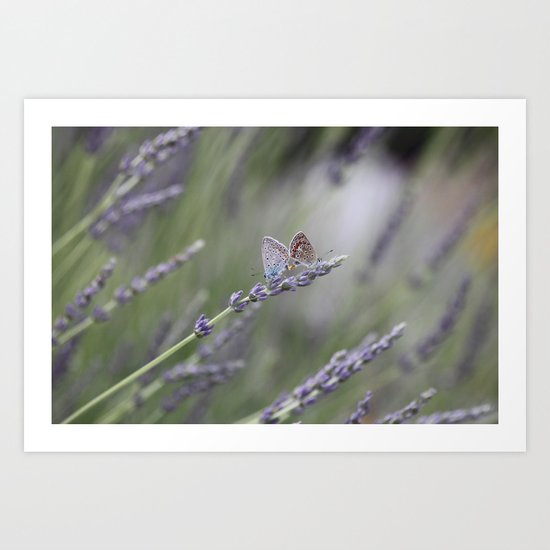 Lavender Butterflies - JUSTART © Art Print