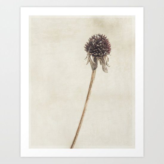 simplicity Art Print