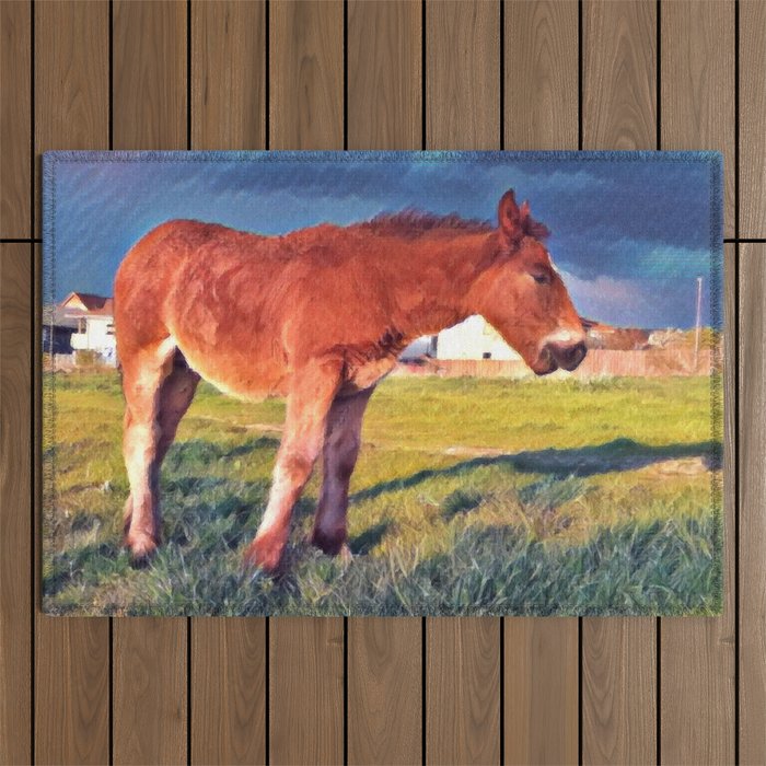 Colorful summer Brown horse foal pasture in the countryside at golden hour Outdoor Rug