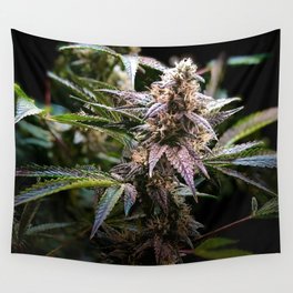 Purple Cannabis Bud in Black Wall Tapestry
