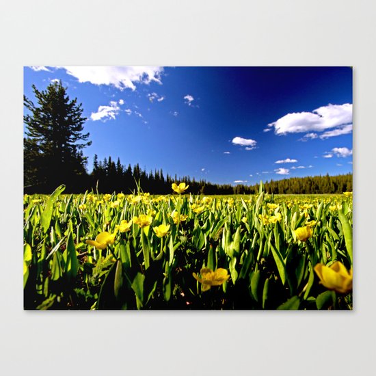 For Jeremy Canvas Print