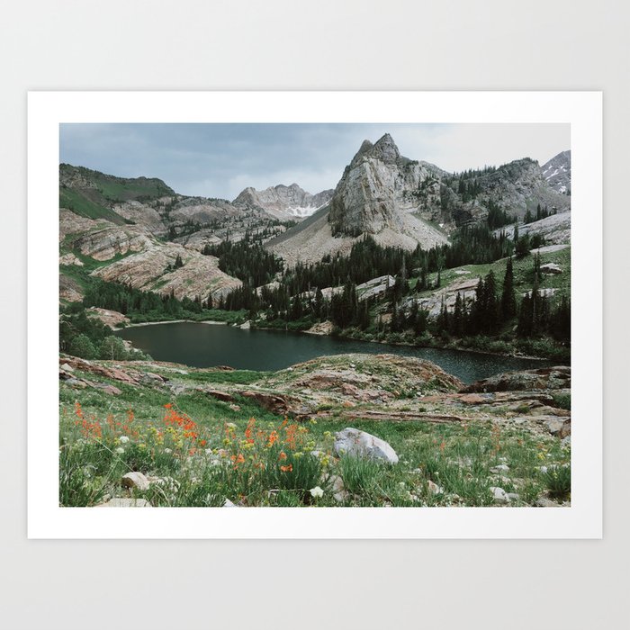 Art Print