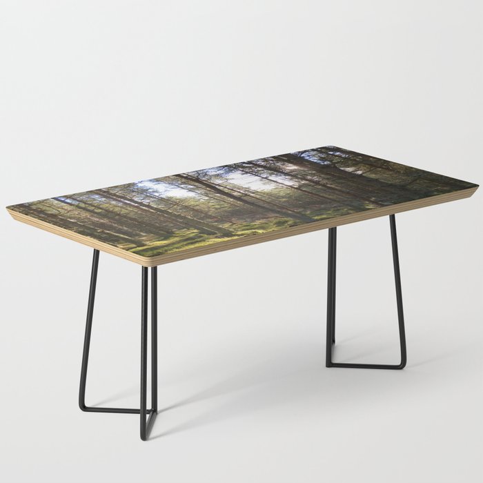 Winter Sunlight in a Scottish Pine Forest Coffee Table
