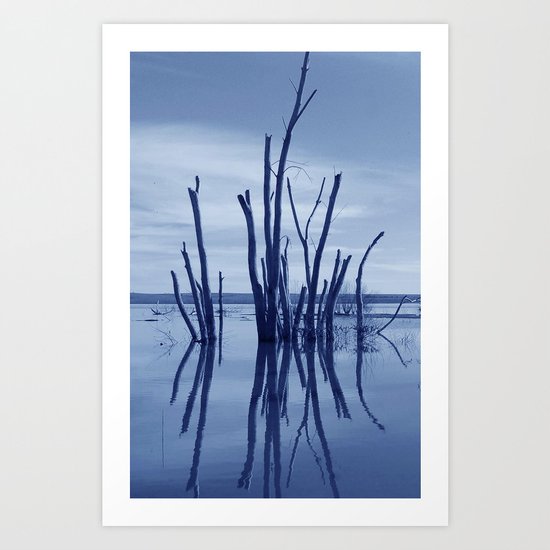 Reflection Art Print