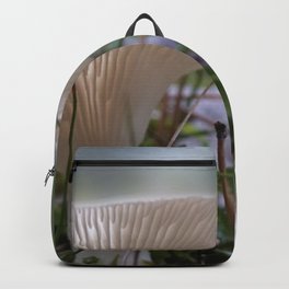 Light gently glowing through a mushroom Backpack | Play With Light, Forest, Photo, Nature, Mushrooms, Hiking, Macro, Underbrush, Woods 