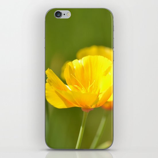 Poppies iPhone & iPod Skin