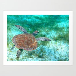 Come glide with me Art Print