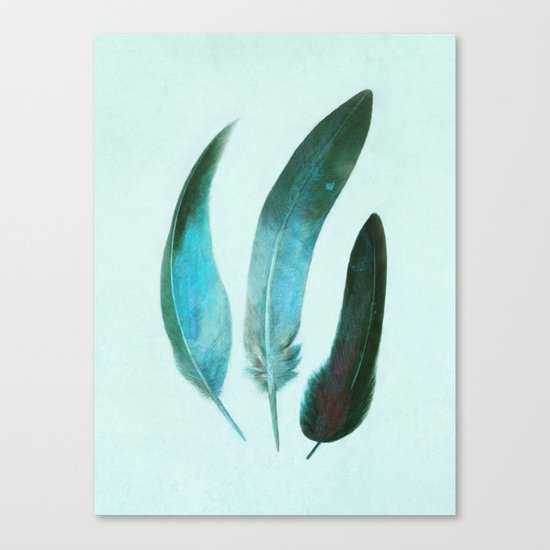 Blue Feathers Canvas Print