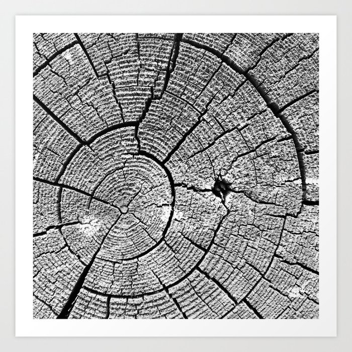 Weathered #2210 Art Print