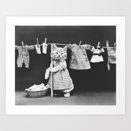 Kitten Hanging Laundry, Black and White Photography Art Print