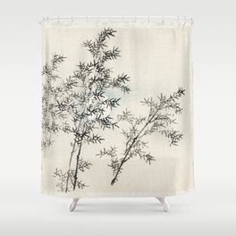 Bamboo by Kōno Bairei Shower Curtain
