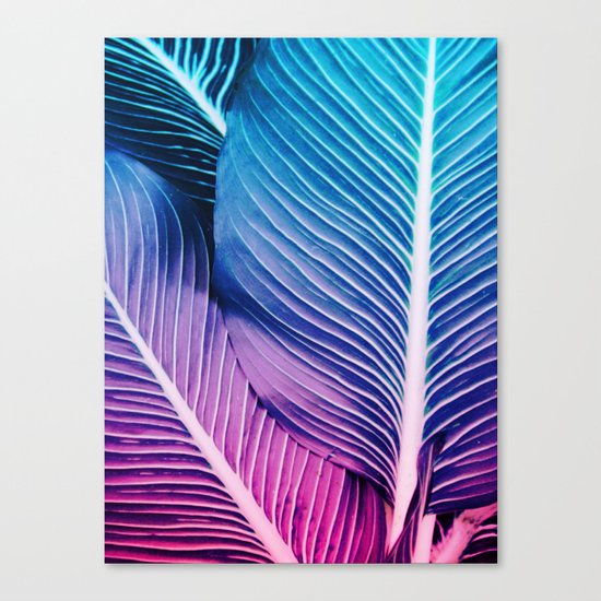 Tropical Foliage Canvas Print