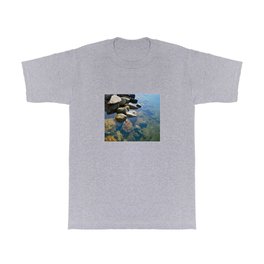 Colour of Stone T Shirt | Rockhard, Submerged, Feisty, Stone, Photo, Close Up, Water, Aboveandbelow, Strong, Whitetoblues 