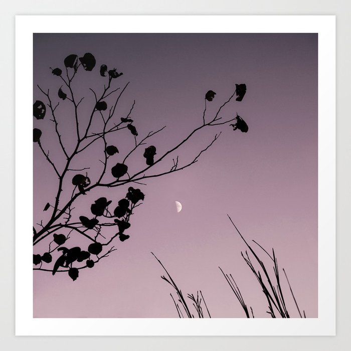 Autumn Moon Art Print