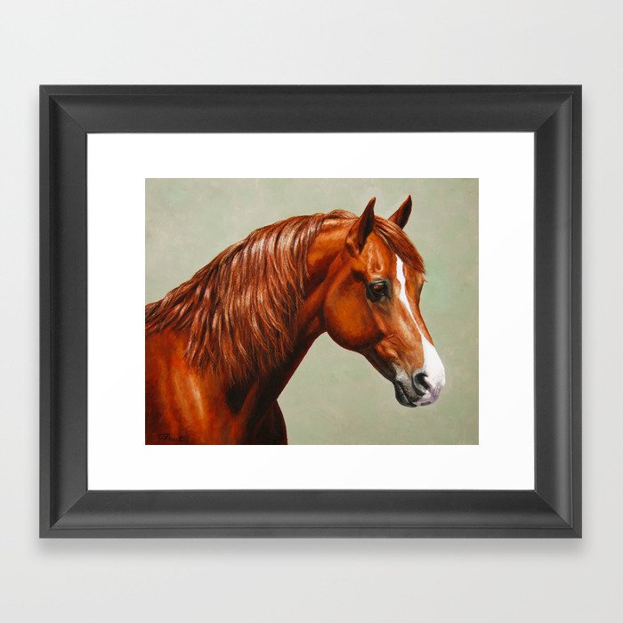 Chestnut Morgan Horse Framed Art Print By Csforest Society6