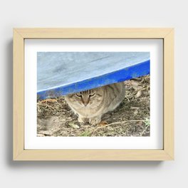 Pussycat Recessed Framed Print