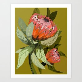 Protea, Australian native, flower, abstract, olive green, bright colors Art Print