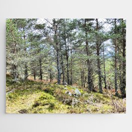 Scottish Highlands Forest Nature View in I Art Jigsaw Puzzle