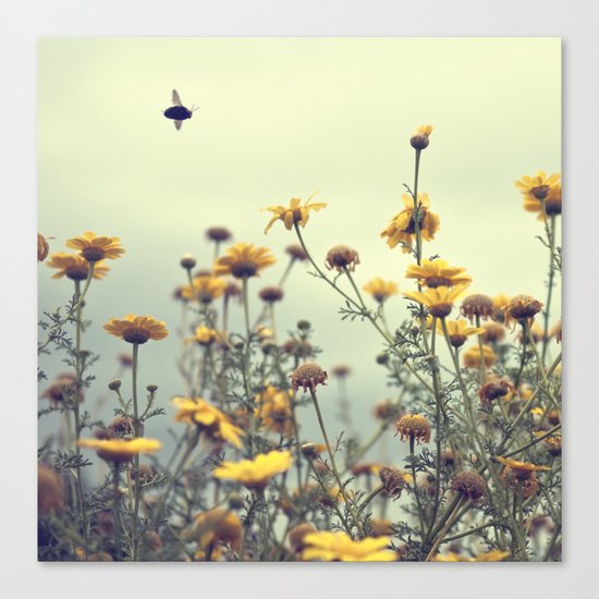 a spring clean for the May queen Canvas Print