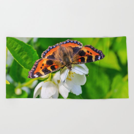 Spring breakfast Beach Towel