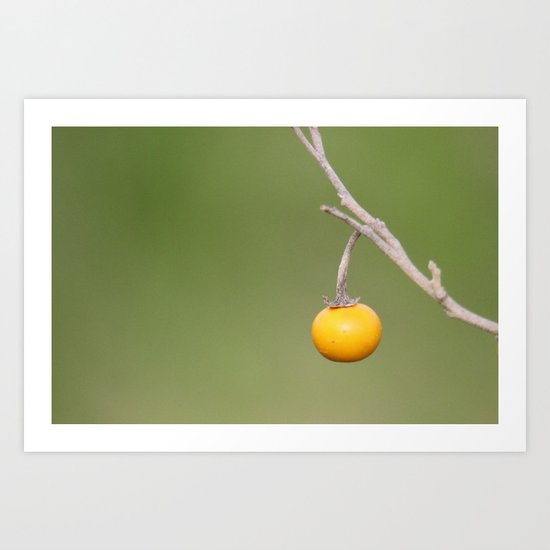 Prince of Peace Art Print