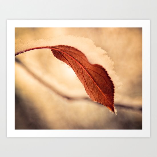 Resisting Winter Art Print