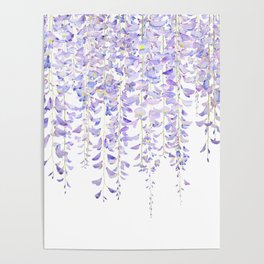 purple wisteria in bloom 2021 Poster