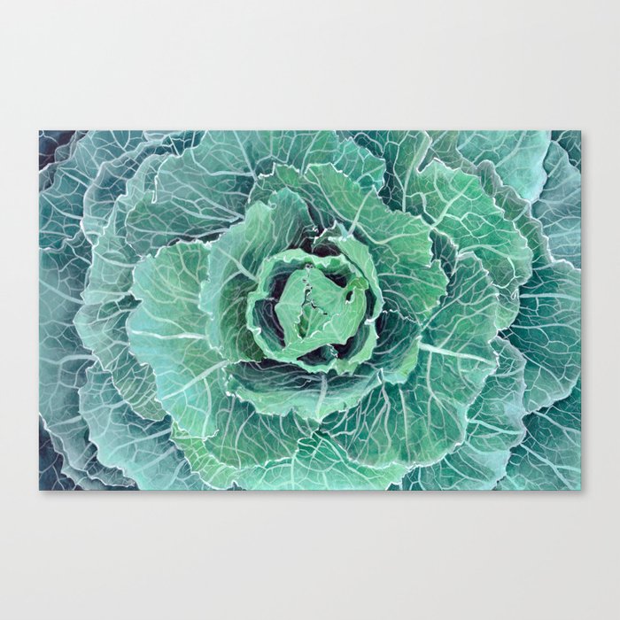 Fall Kale Painting Canvas Print By Artbyava Society6