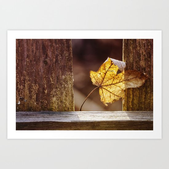 catching warmth Art Print