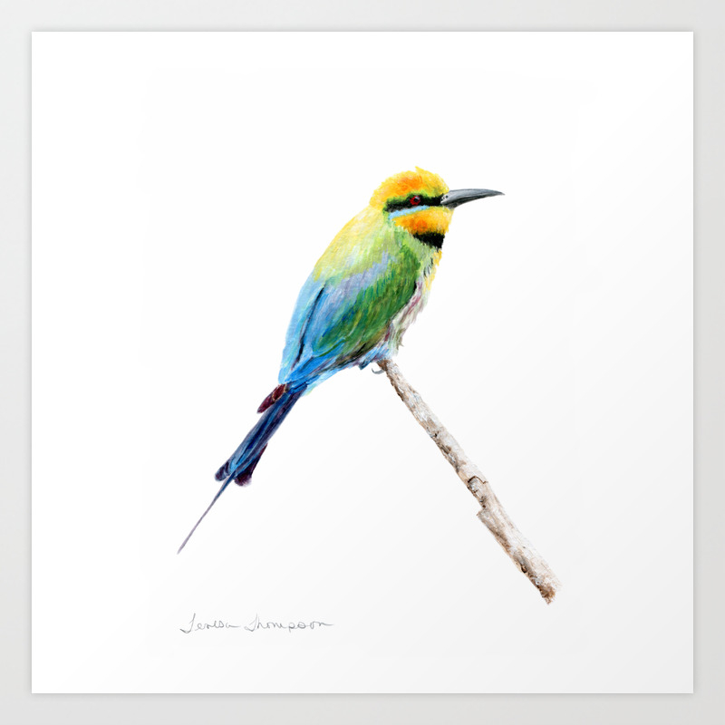 Rainbow Bee Eater By Teresa Thompson Art Print By Teresathompson