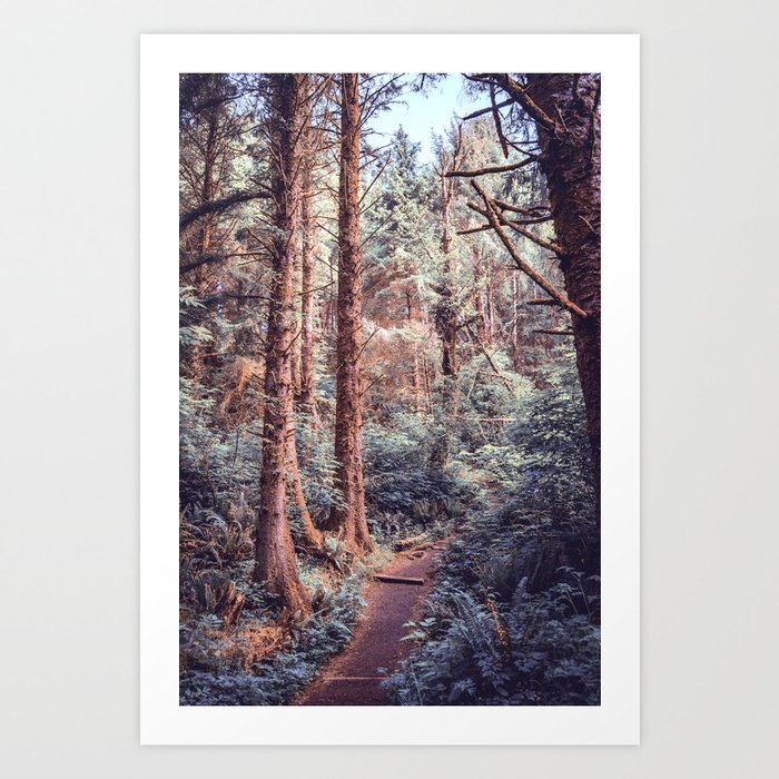 Forest Trail Art Print