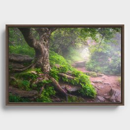 Foggy Appalachian Hiking Trail Scenic Nature Outdoors Landscape North Carolina Green Forest Photography Framed Canvas