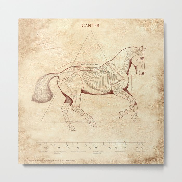 Da Vinci Horse: Canter Metal Print