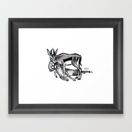 Gazelle, King of jungle Framed Art Print