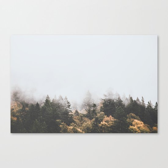 Oregon Canvas Print