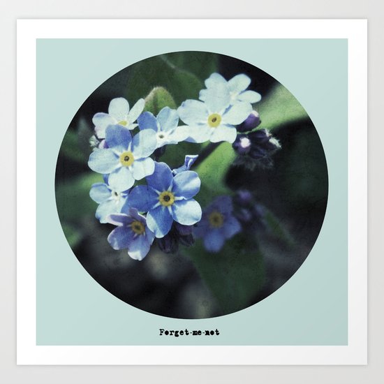 Forget-me-not Art Print