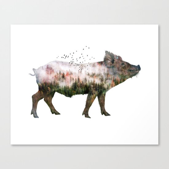 Pig Canvas Print