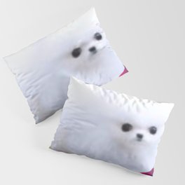 An Adorable And Cute Pomeranian Puppy On Colorful Back ground Sticker Magnet Tshirt And More Pillow Sham