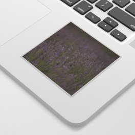 Bee In The Middle With Me Lavender Landscape Photograph Sticker
