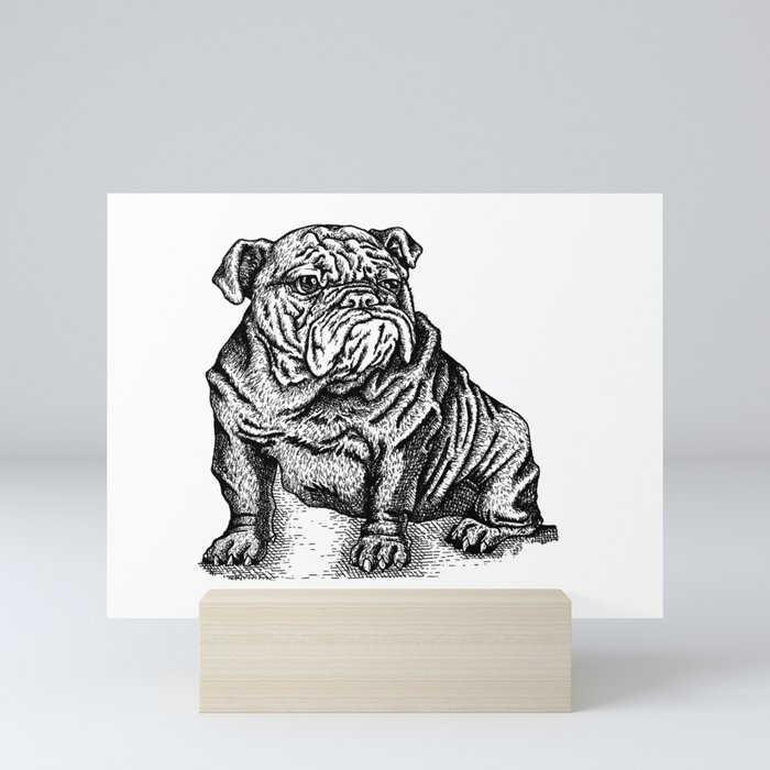 Sapphorica Creations- Philip the Bulldog Mini Art Print