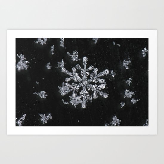 Snowflake Art Print