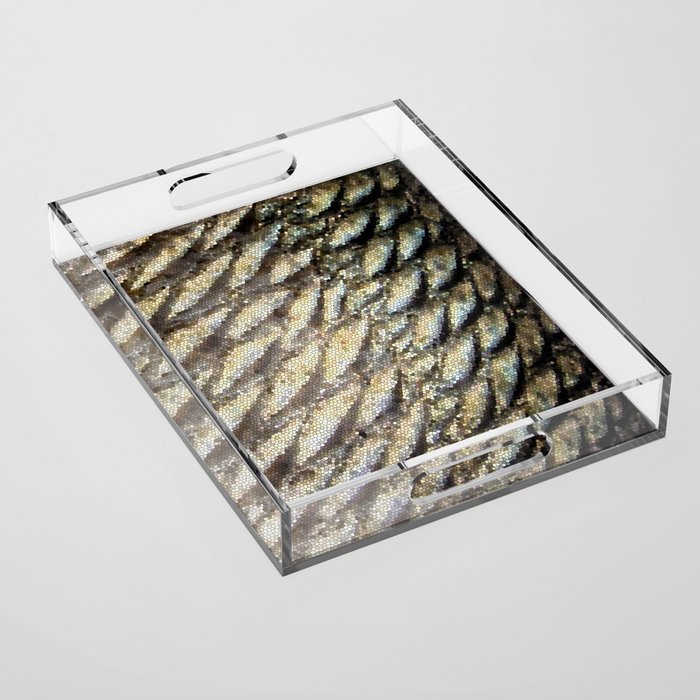 Redfish Scales Acrylic Tray